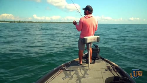 UNBELIEVABLE! Hunting Giant Schools of Bass (Incredible Tips on How to Use Live Sonar to Catch Fish)