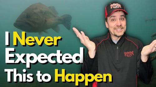 See What Bass REALLY Did After a Heavy Rain | Underwater Proof