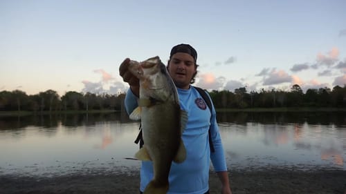 Biggins from the Bank