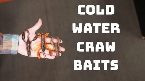 Stop Using The Wrong Craw Baits In The Winter To Catch More Fish!