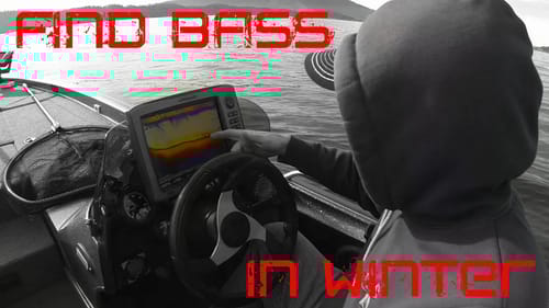Where Do Bass Go In Winter?