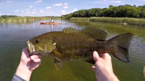 River Rat Smallies
