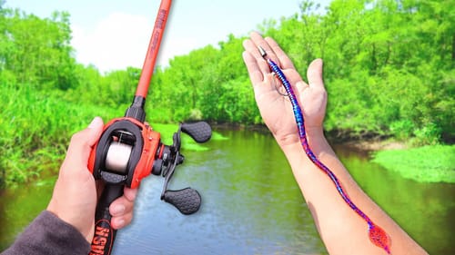 Catching GIANT Bass on BIG Worms (Bank Fishing)