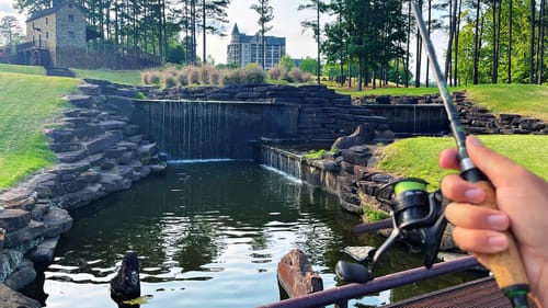 This Golf Course Pond Waterfall was Surprising!!