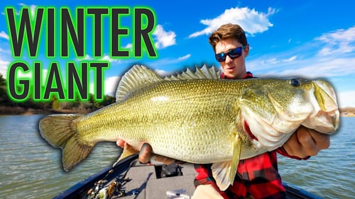 How To Find MASSIVE Winter Bass!! NEW LAKE (Part 3)