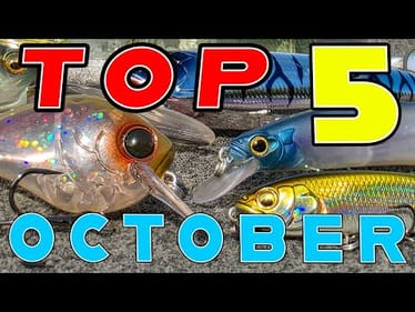 Top 5 Baits For October Bass Fishing!