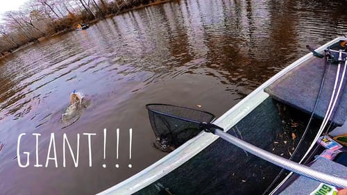 Flipping HEAVY COVER For AGGRESSIVE Cold Water RIVER BASS!! || I Hooked a Giant!!