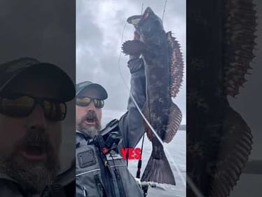 These bass are weird lookin…