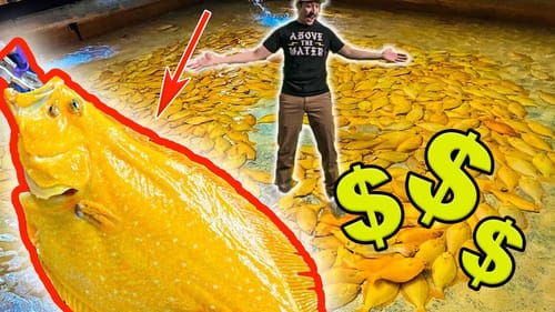 I HAD NO IDEA THIS FISH WAS REAL! The Story Of The ULTRA RARE Golden Flounder!