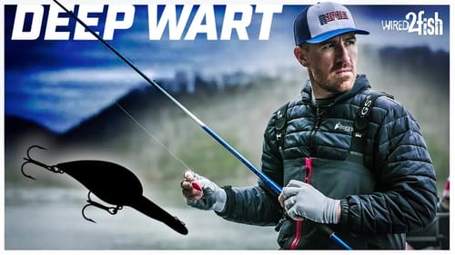 Master the Storm Wiggle Wart Deep with Jacob Wheeler