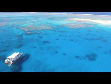 FISHING WRECK REEF - Cast Mag Subscriber Feature