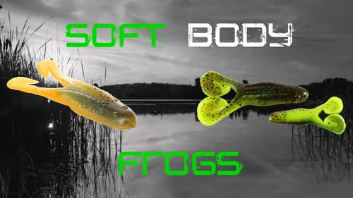 Soft Body Frogs: Everything You Need to Know