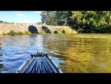 BIG BASS SITTING UNDER DRAIN PIPE