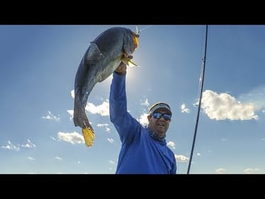 The Jenko Tremor Shad catching BIG BASS on Kentucky Lake