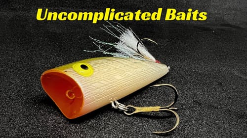 Uncomplicated Fishing Baits? Do They Exist?