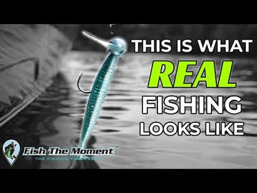 This Bait Is Winning Tournaments Again After 10 Years In Hiding!