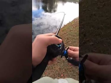 GIANT BASS Almost BREAKS my rod! #shorts