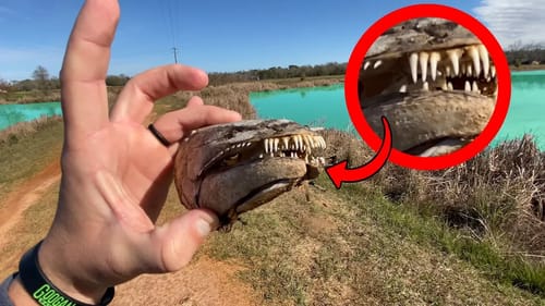 Found Mysterious SKULL Exploring PRIVATE PROPERTY in Alabama!