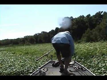 bass, 6-26 6lbs flippin bb cricket punch skirt 1.5oz 001.wmv