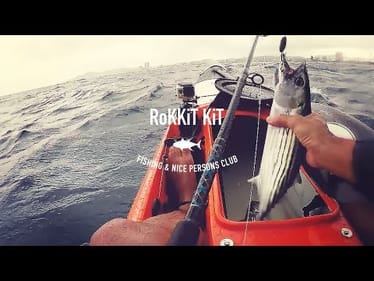 Bad Weather Bonito - Come On Mackerel!