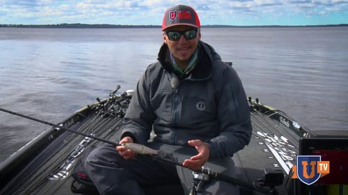 Tips for Fishing BIG Glide Baits for MONSTER BASS