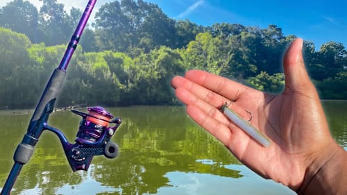 This SMALL LURE Will Help You CATCH HUNDREDS MORE FISH (NED RIG FISHING TIPS)