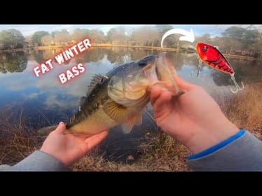 POND Fishing For FAT WINTER BASS