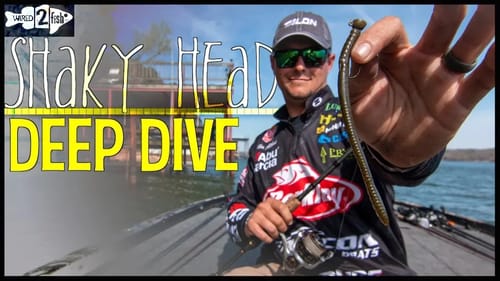 How to Fish Shaky Head Around Docks