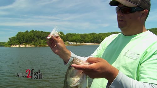 Tips on Fishing Hair Jigs for Bass