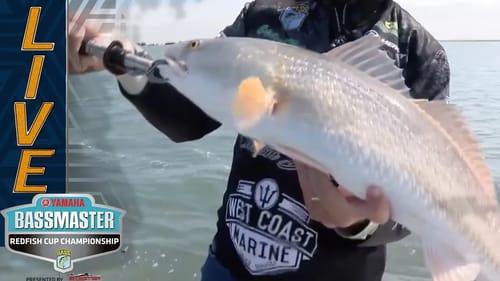 REDFISH: Taylor and More land first 8 pounder of Day 2
