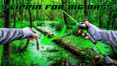 FLIPPING ONLY For BIG Spawning Bass!!! || Spring Bass Fishing