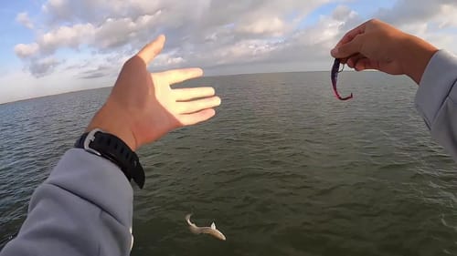 Inshore Texas Fishing in Galveston Bay
