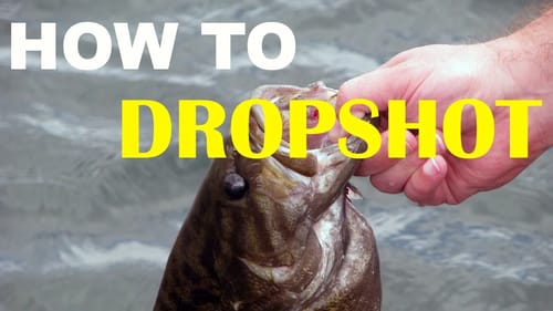 How To Dropshot Fish | Bass Fishing
