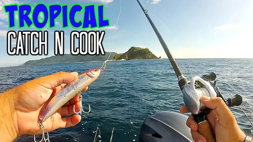 Remote Island Catch & Cook | Best Fish of My Life!!