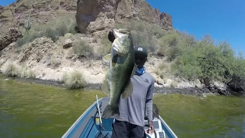 I Actually Caught A BIG One!! - Throwing Big Swimbaits For Big Bass!