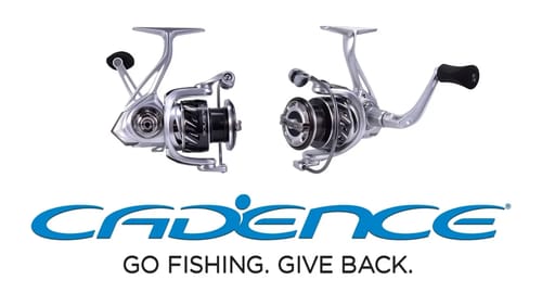 Cadence Fishing CS6 Spinning Reel Review!