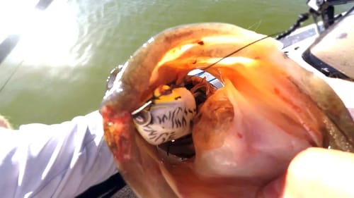 Don't Be Lazy! On the Water Frog Fishing Tips Ft. Tim Little