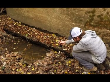Tiny Creek Fishing II