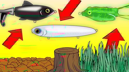 START Catching More Bass On Topwater Baits With These Tricks