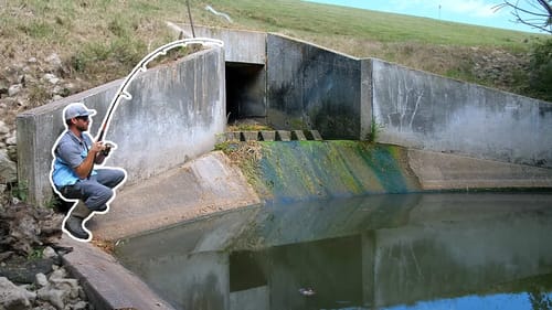 Tiny SPILLWAY has BIG Fish!!! (Surprise Catch)