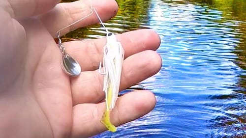 Catch Way More Bass With Spinnerbaits