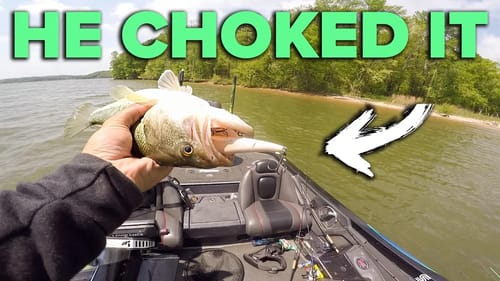 This Fish CHOKED It! (Jerkbait Fishing)