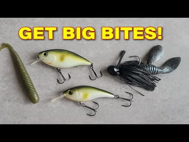 How to Catch Bass When Nothing’s Biting | 3 Tactics for Tough Conditions