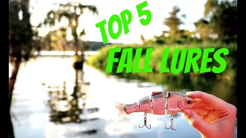 TOP 5 FALL FISHING LURES