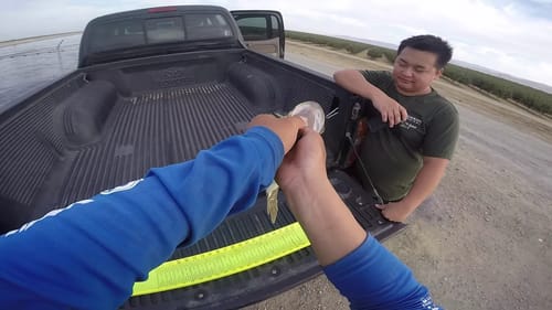 Quick Aqueduct Fishing Session