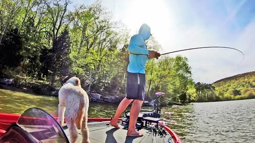 Frog and Chatterbait Fishing for Bass on Lake Guntersville!