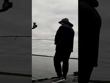 Fishing has the highest of highs and lowest of lows.. 😢🤣