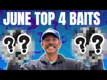 🔥 Top 4 Baits for GIANT June Bass! 🎣 GET ON 'EM This Summer!