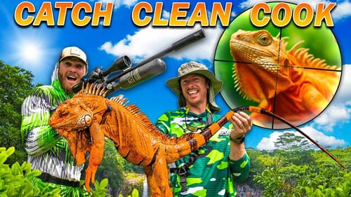 GIANT INVASIVE JUNGLE Lizard CATCH CLEAN COOK!