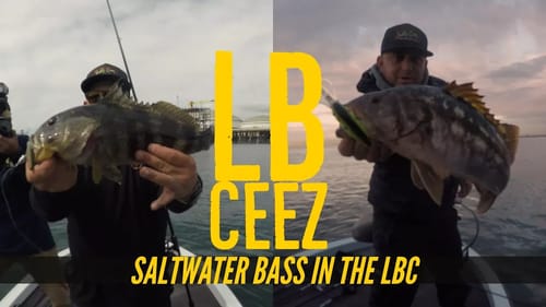 Bass Fishing Salty Style with Ceez